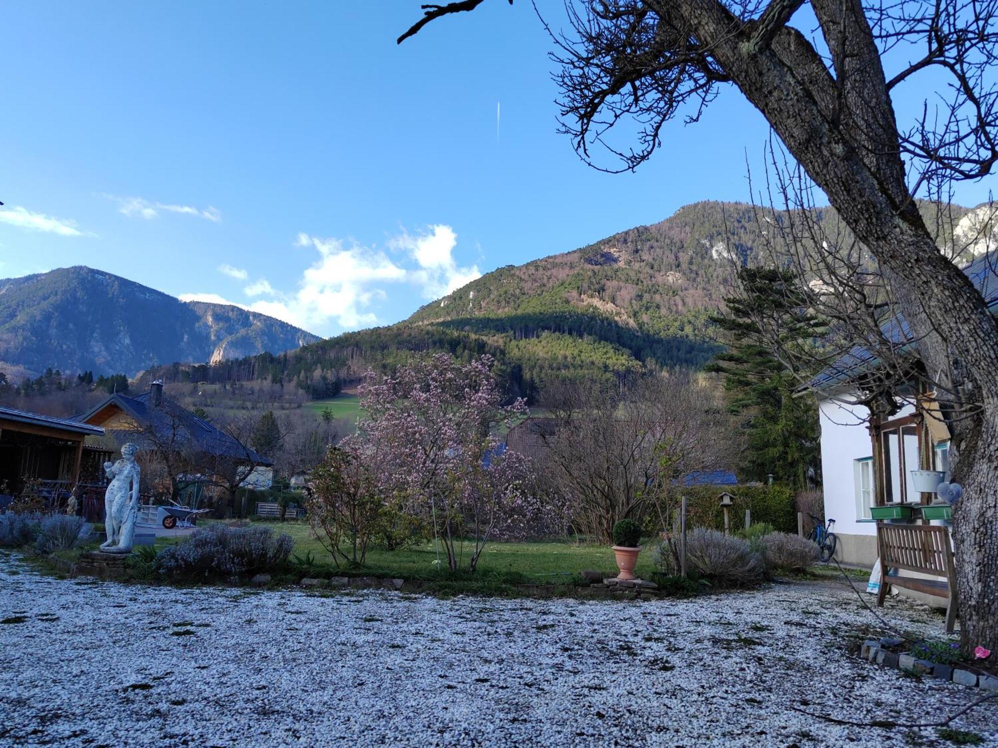 Gemuetliche Landhauswohnung Payerbach Bagian luar foto